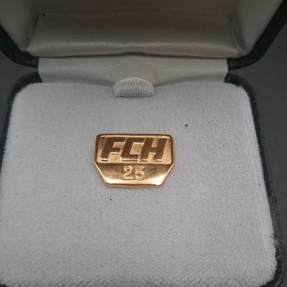 Fairmont‎ Community Hospital Foundation 25yr Employee Lapel Pin
